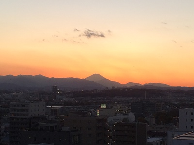 20151004145300.JPG