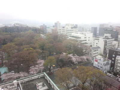20160403141535.jpg