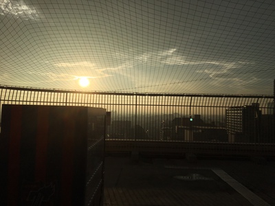 20161008172616.JPG