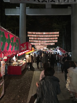 20181113180227.JPG