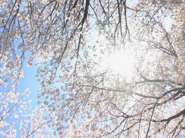 毎日ワクワク♪の画像