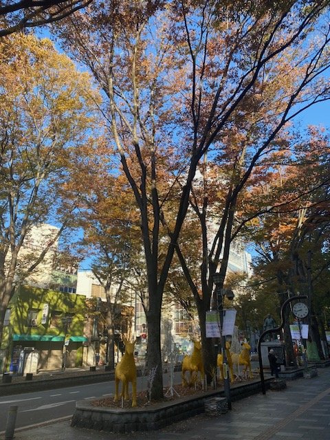 金曜午前に朝活始めませんか♪の画像