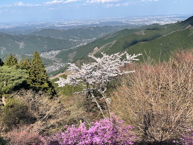 GWはゆる～い大会とくらやみ祭での画像