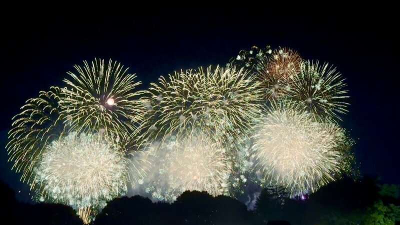 夏の風物詩を満喫の画像