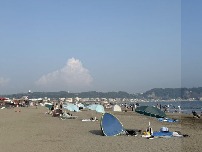 夏休み日記④の画像