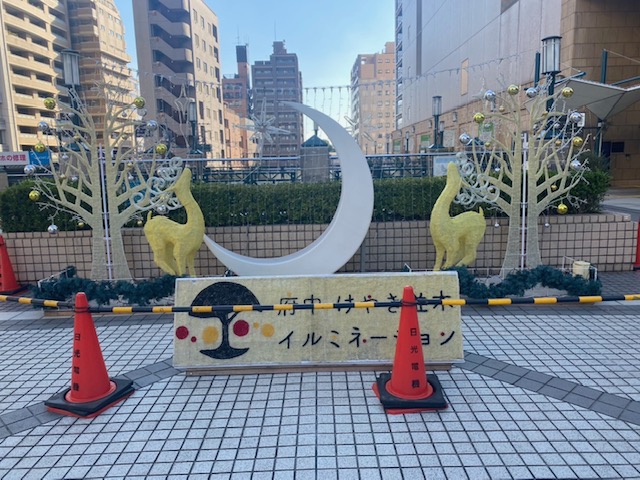 今年も始まるイルミネーション🎄の画像