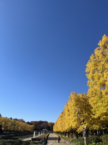 天気がいい日はの画像