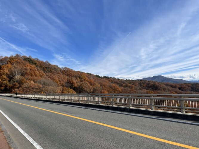 1年間熱い応援ありがとうございました！の画像