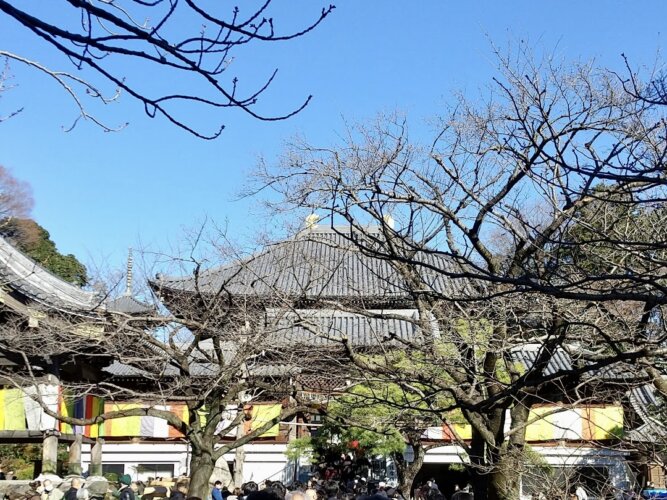 充実した1年に！の画像